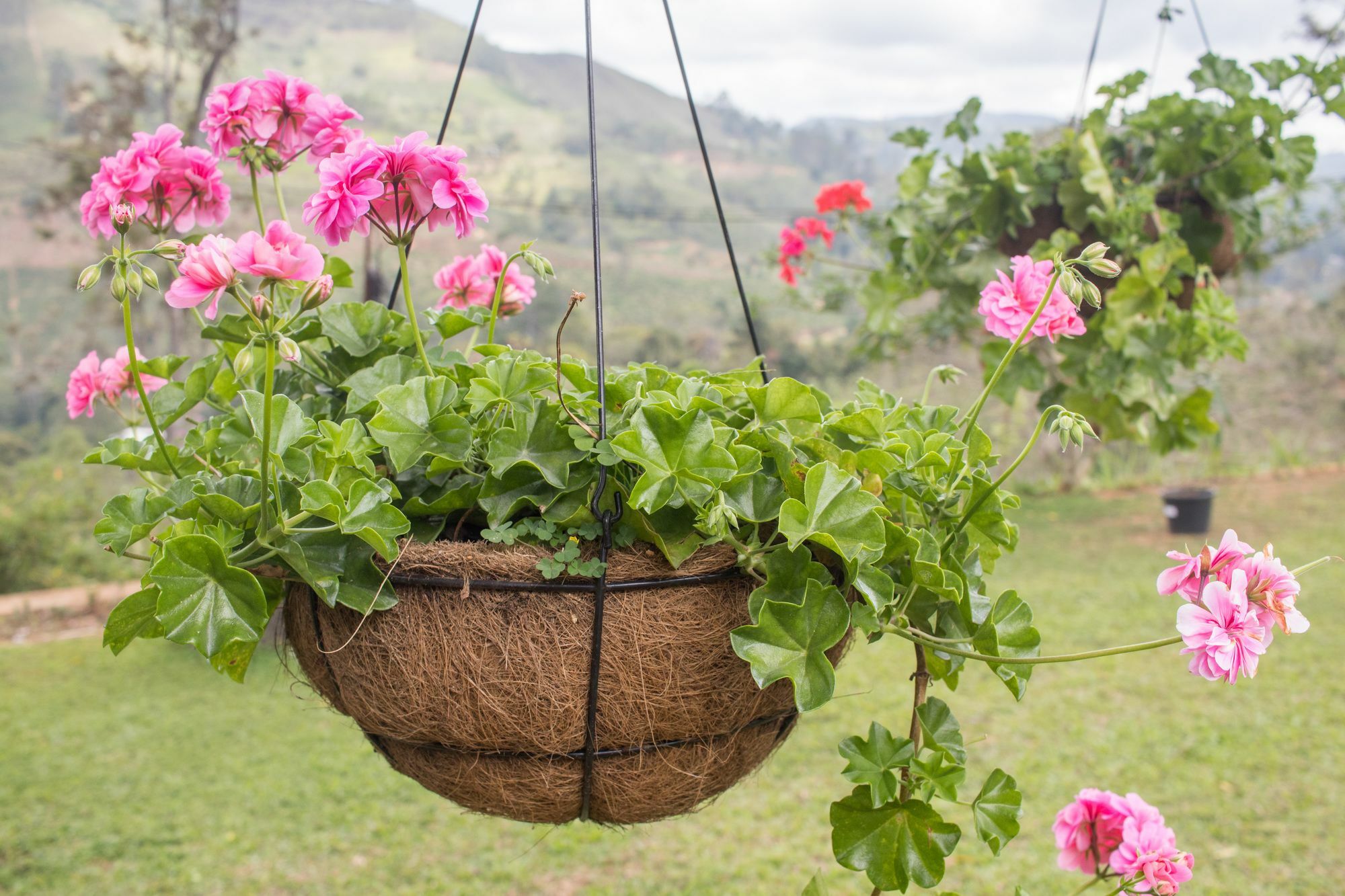 Ceylon Tea Bungalows Bandarawela Mirahawatta Zewnętrze zdjęcie